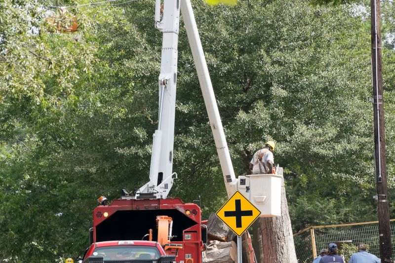 Increase Your Asphalt Sealing Business with an AI Driven, Targeted Website
